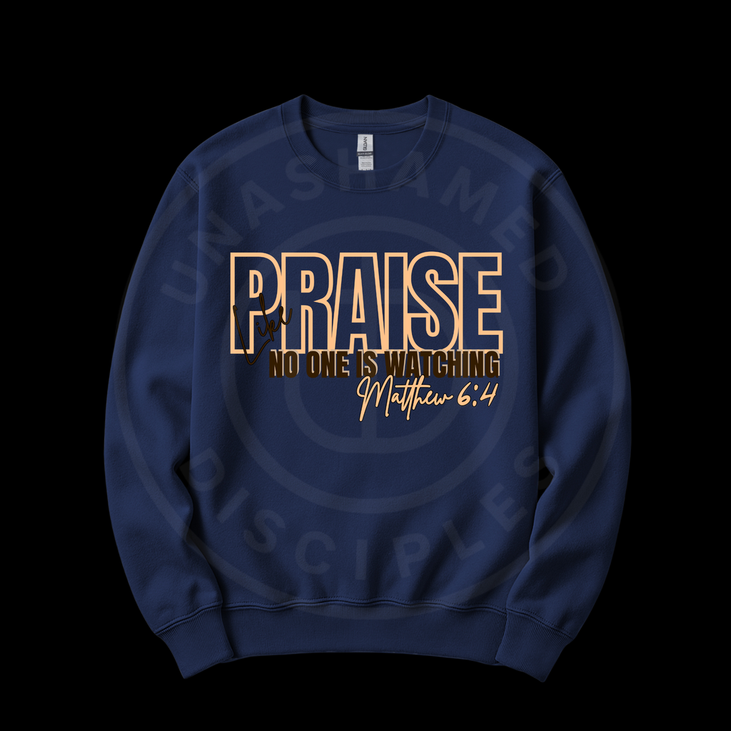 Praise Like No One