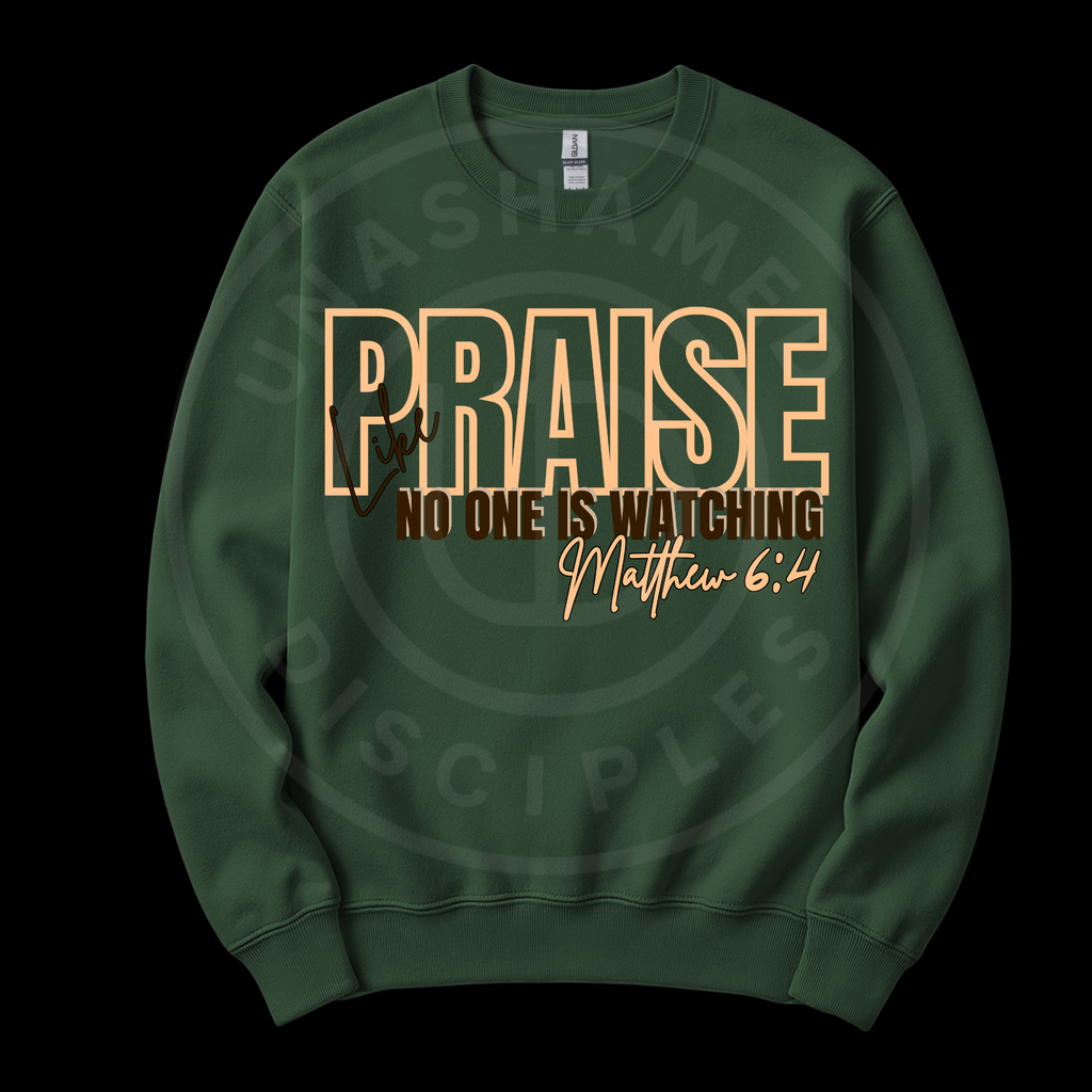 Praise Like No One