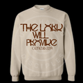 The Lord Provides!